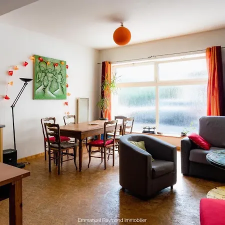 Appartement Loft Berriat/ampere Grenoble