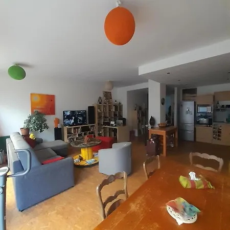Loft Berriat/ampere Appartement *